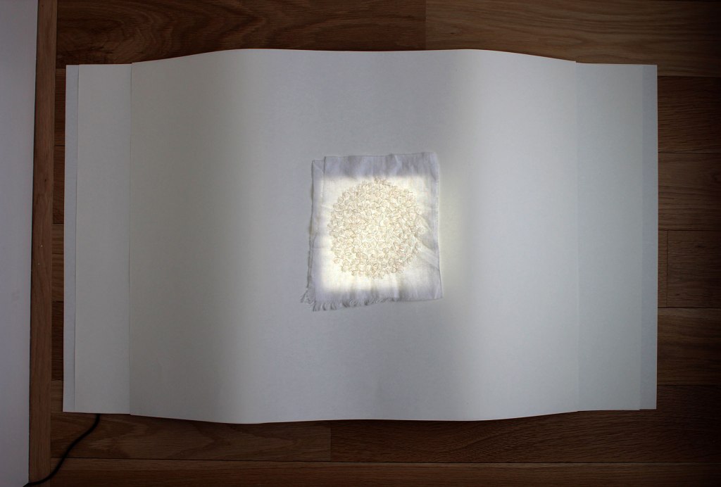 Still Night Thoughts (i mistook it for the&nbsp;moon)